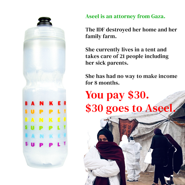 Help Aseel in Gaza